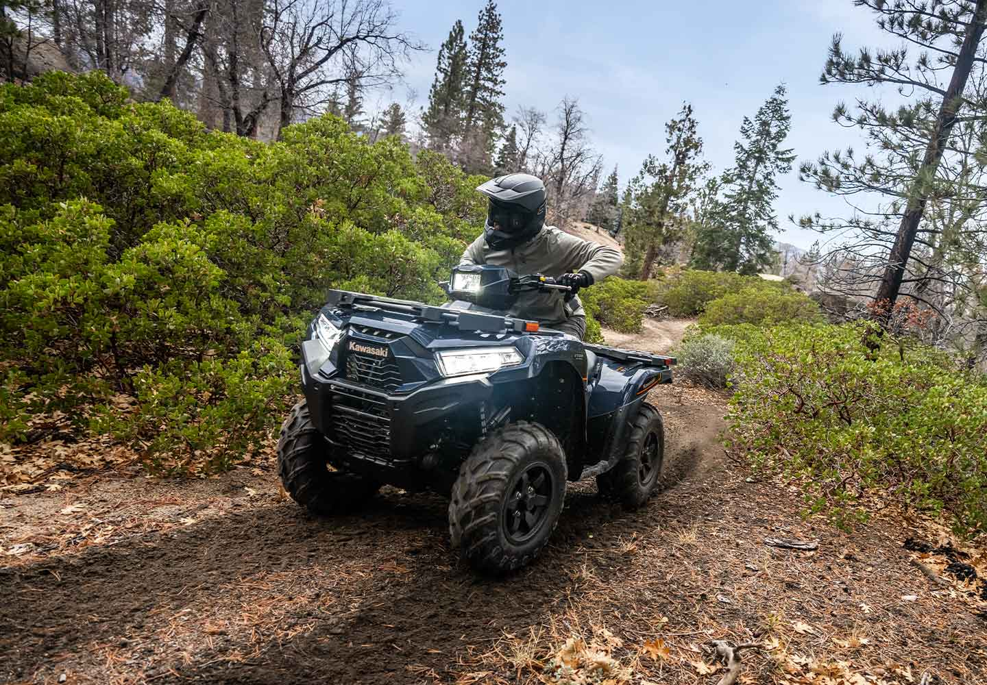 Kawasaki BRUTE FORCE 750 | スポーツユーティリティATV | タフな四輪車