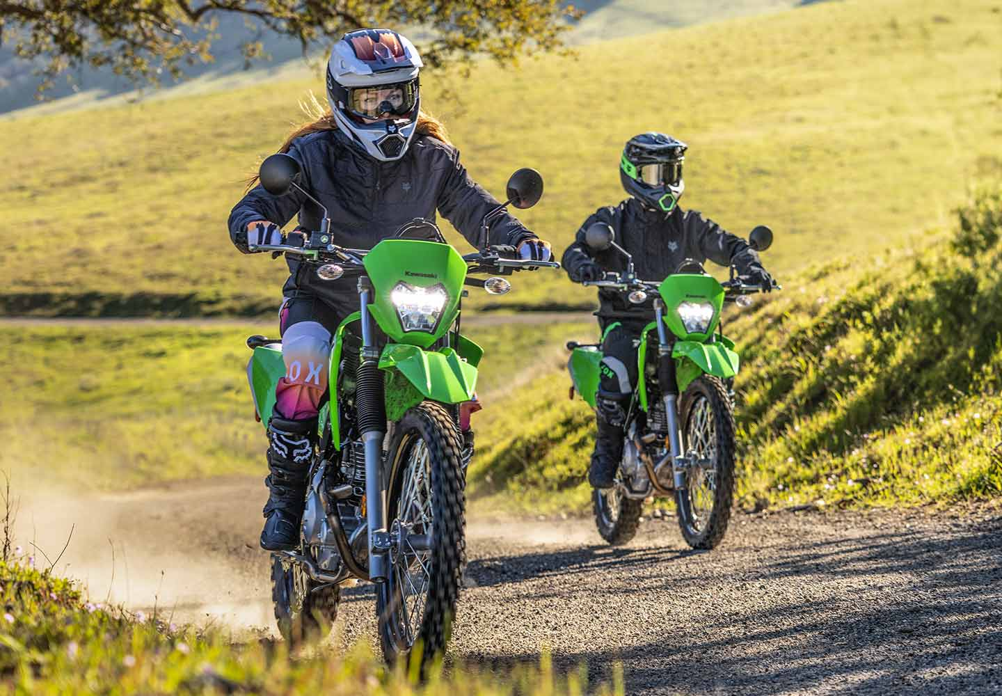 Kawasaki KLX230 | デュアルパーパスモーターサイクル | 軽量なオン