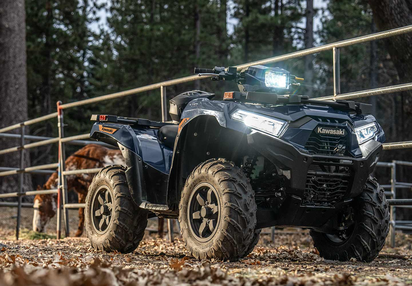 Kawasaki BRUTE FORCE 750 | スポーツユーティリティATV | タフな四輪車