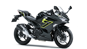 ニャニュ 2024 Ninja ZX-10R 40th Anniversary Edition モーターサイクル