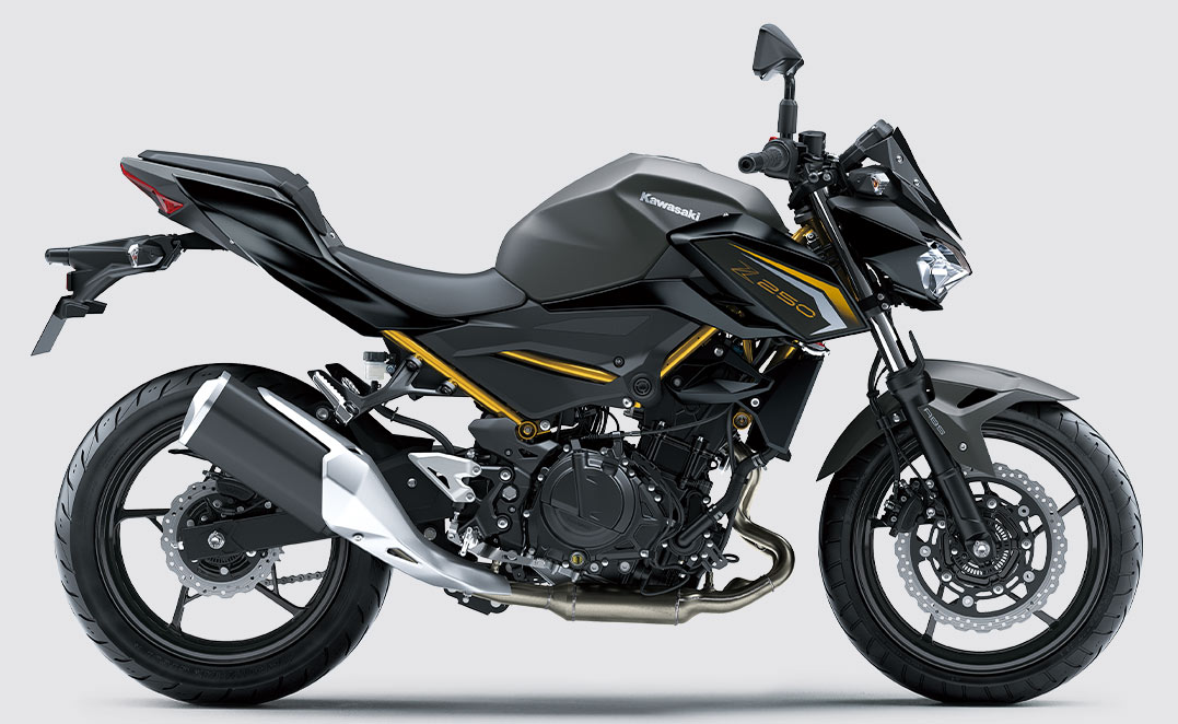 Kawasaki Z250 | スーパーネイキッドモデル | アグレッシブなスタイリング