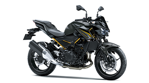 R 904545サマーセール品 R 904545サマーセール品 Ninja ZX-4R SE R 904545サマーセール品 R 904545サマーセール品 Ninja ZX-4R SE