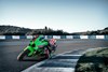 2023 NINJA ZX-10R KRT EDITION