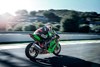 2023 NINJA ZX-10R KRT EDITION