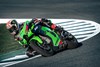 2023 NINJA ZX-10R KRT EDITION