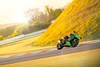 2024 Ninja ZX-4RR KRT EDITION