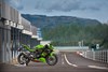 2024 Ninja ZX-4RR KRT EDITION