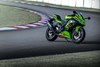 2024 Ninja ZX-4RR KRT EDITION
