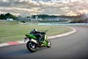 2024 Ninja ZX-4RR KRT EDITION