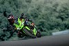 2024 Ninja ZX-4RR KRT EDITION