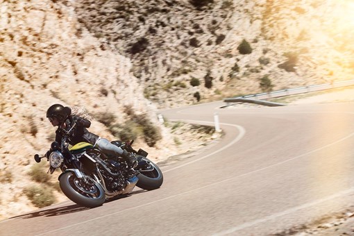 2024 Z900RS YELLOW BALL EDITION