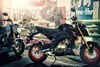 2021 Z125 PRO