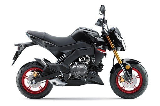 2021 Z125 PRO