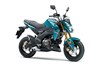2021 Z125 PRO