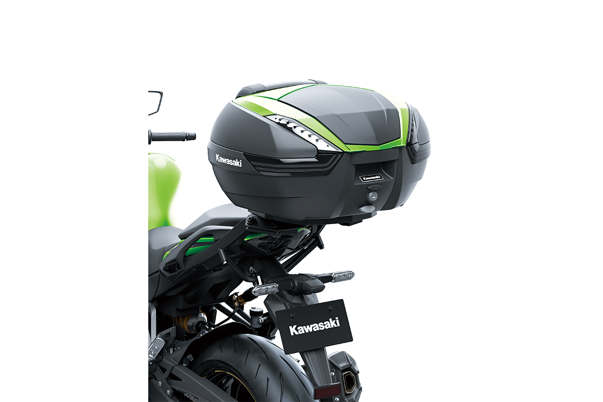 2025 NINJA 1100SX SE