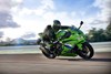 2026 Ninja ZX-4RR