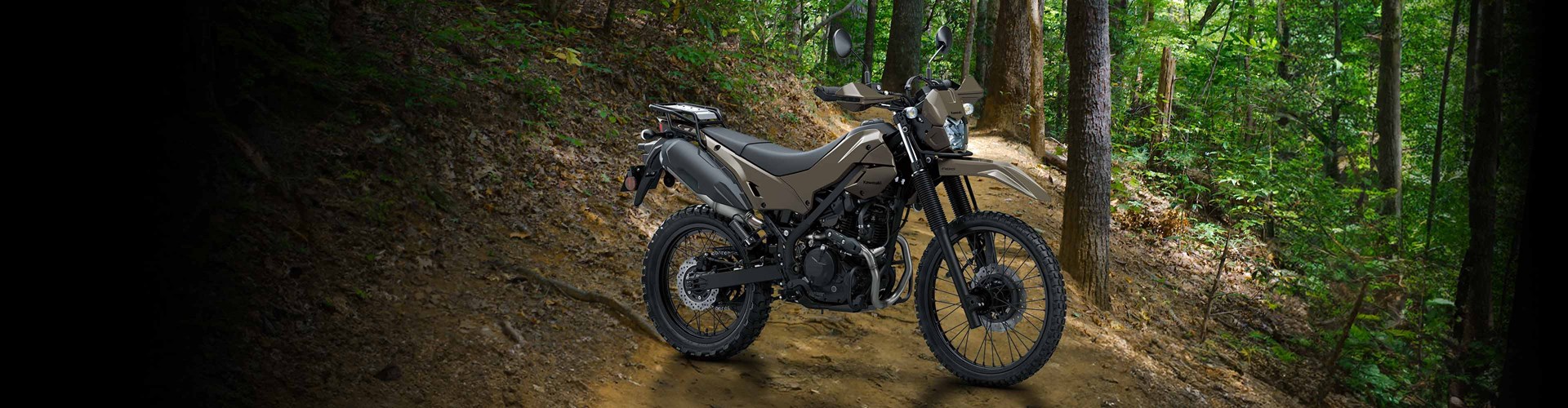 KLX230 DF
