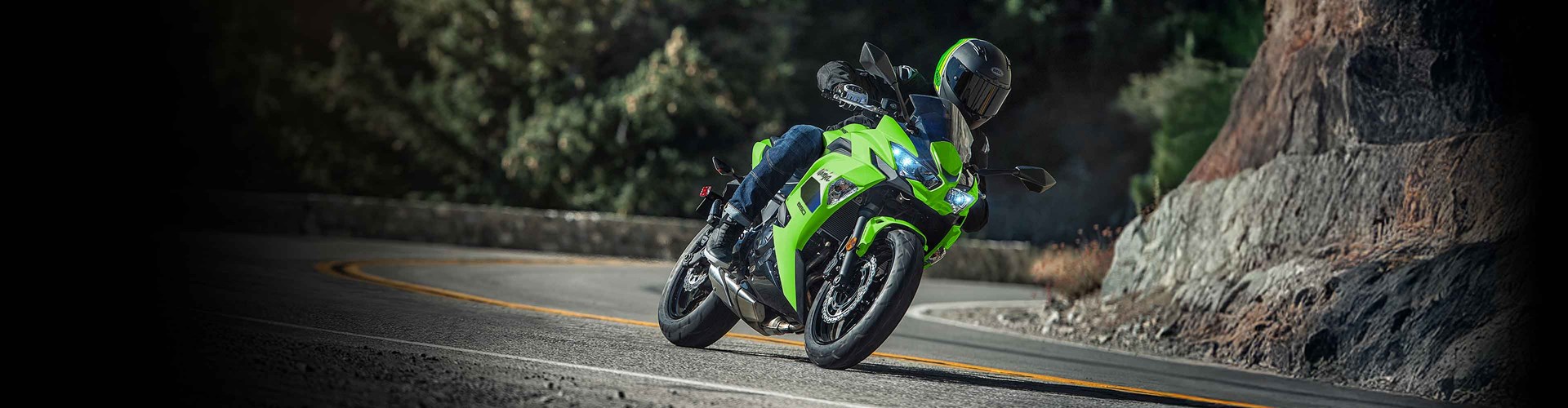Ninja650