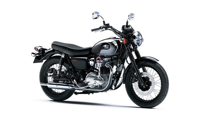 ミラーコートブラック × エボニー