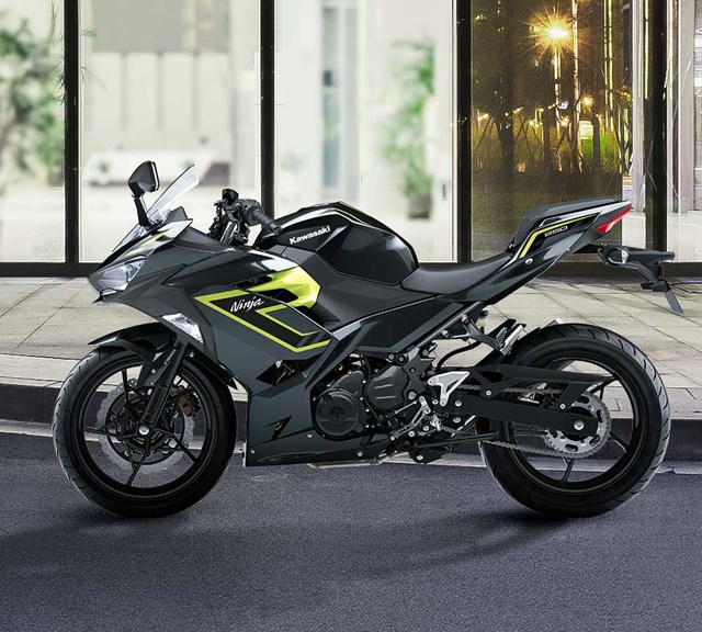 Image of 2026 Ninja 250  in action