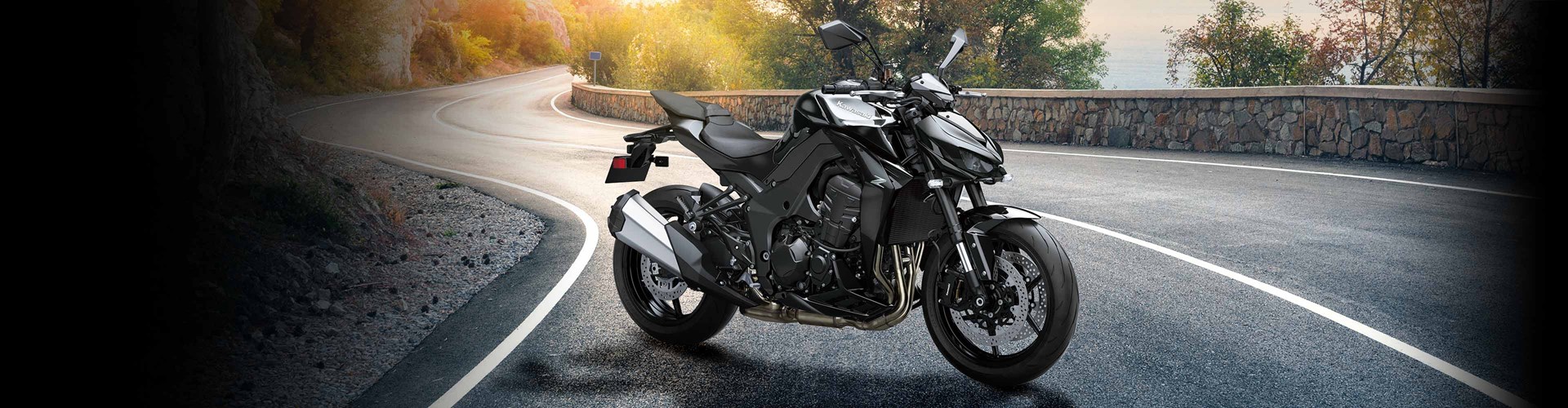 Z1100