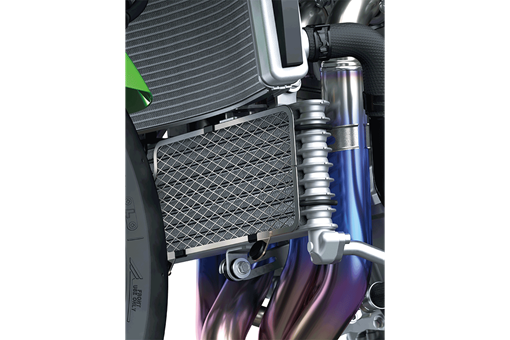 2026 Ninja ZX-10R