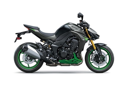 2027 Z1100 SE