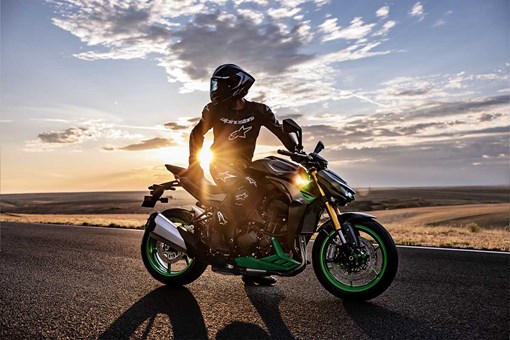 2027 Z1100 SE