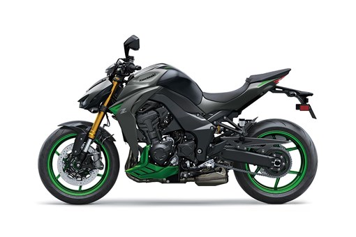 2027 Z1100 SE