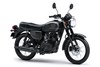 2023 W175 Se