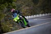 2024 NINJA 500 SE KRT EDITION