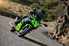 2024 NINJA 500 SE KRT EDITION