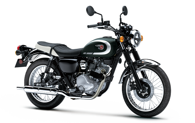 Xanh Lục Nhám Ánh Kim