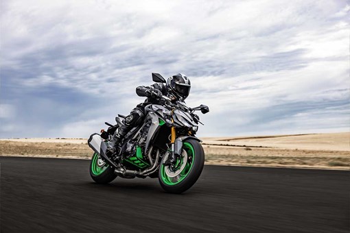 2027 Z1100 SE